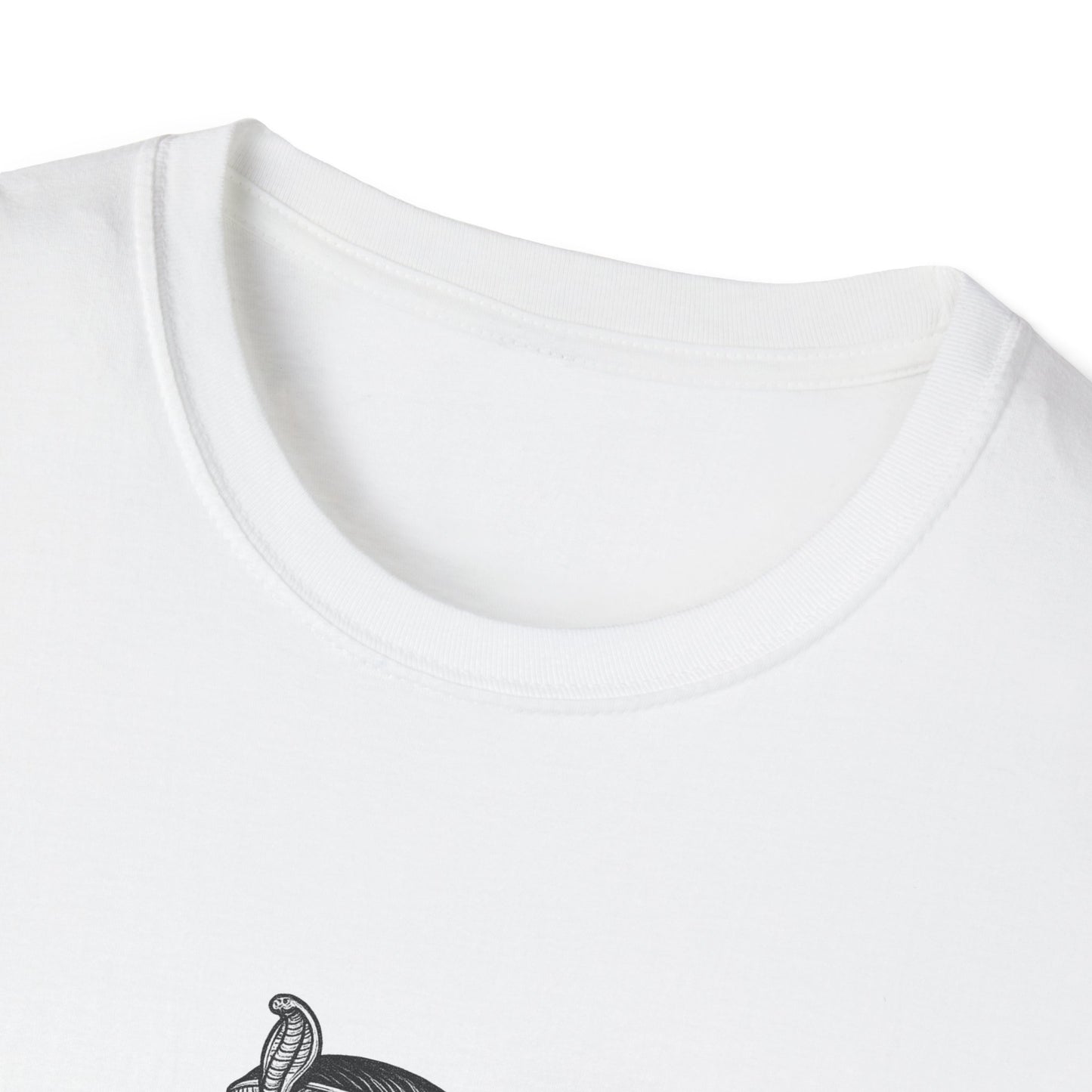 Empowering Cleopatra Quote T-Shirt, Inspirational Tee, Unisex Graphic Shirt, Gift for History Lovers, Feminist Apparel, Motivation Top